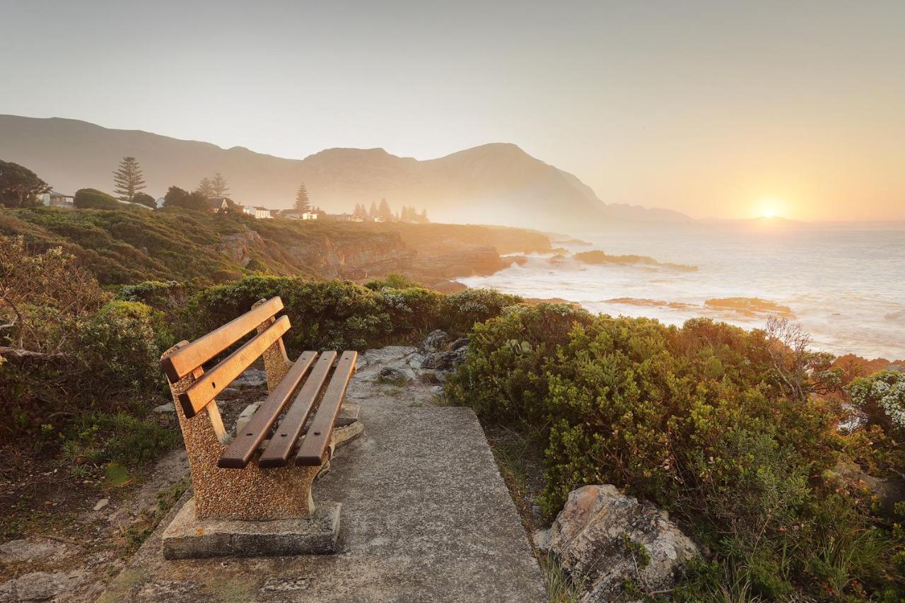 Hôtel Walker Bay Manor Mansion à Hermanus Extérieur photo