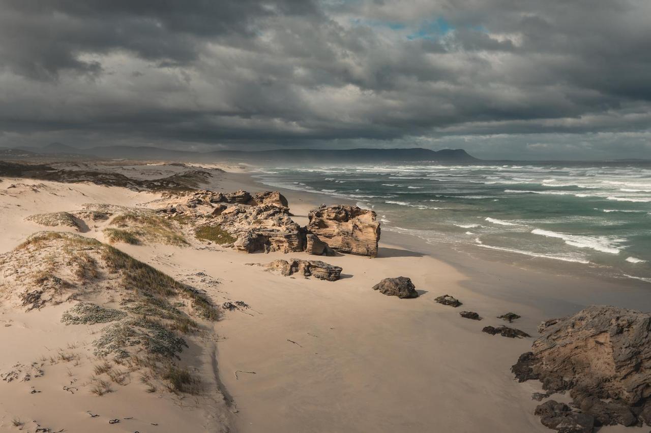 Hôtel Walker Bay Manor Mansion à Hermanus Extérieur photo